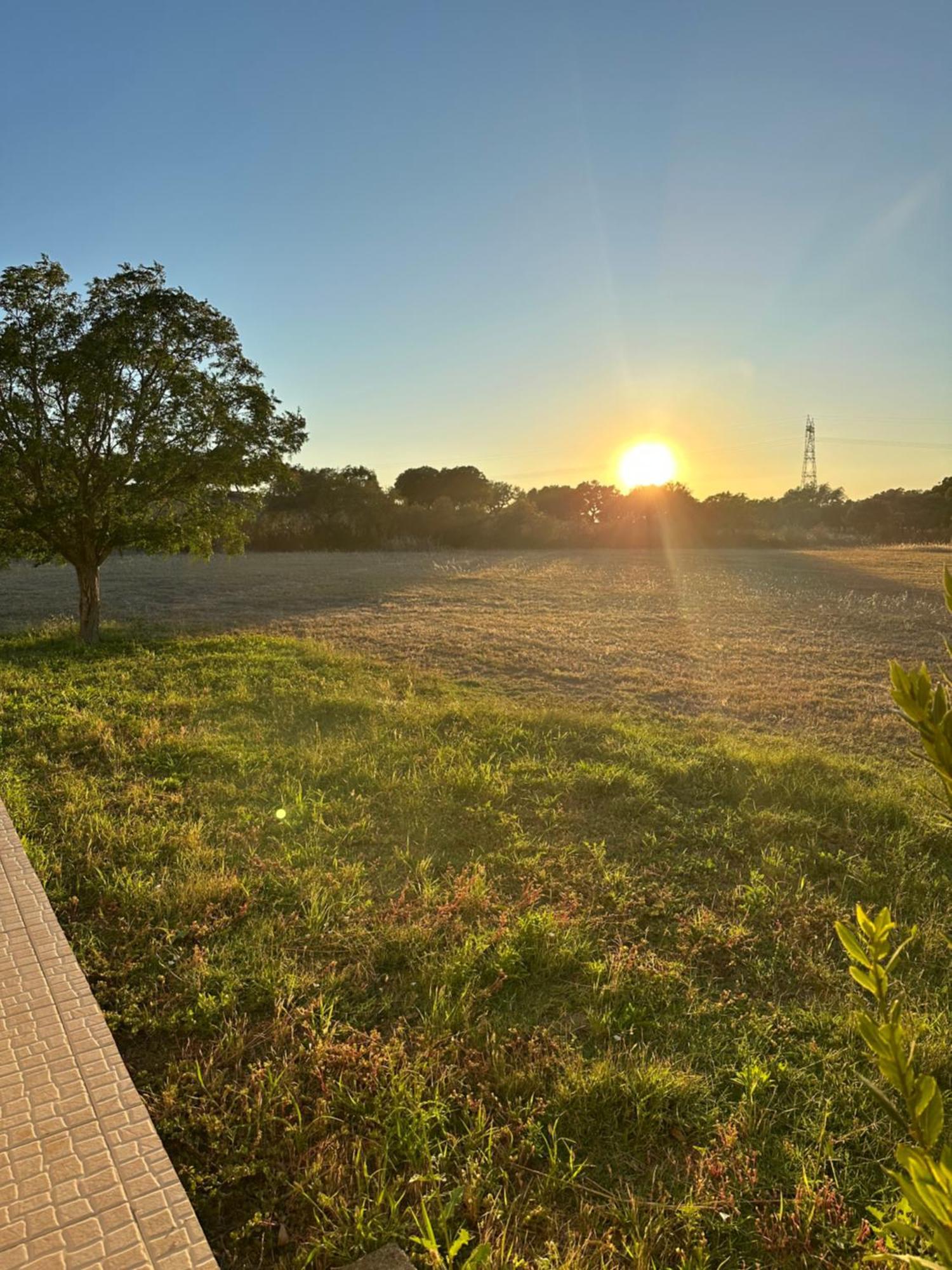 Monte Das Hortas Velhas Viana do Alentejo Exterior foto